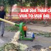 Bàn Giao Online Máy Băm Chuối C600 Cho Trại Lợn Ở Phú Thọ