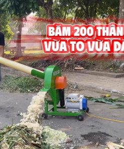 Bàn Giao Online Máy Băm Chuối C600 Bình Quân Cho Trại Lợn Ở Phú Thọ
