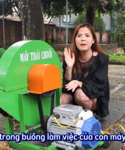 Bàn Giao Máy Băm Chuối C600 Cho Trại Lợn - chi tiết máy 2