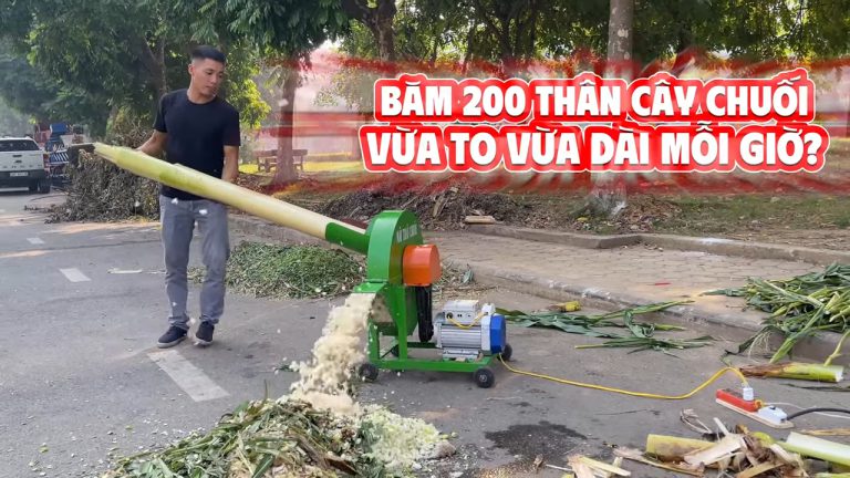 Bàn Giao Online Máy Băm Chuối C600 Bình Quân Cho Trại Lợn Ở Phú Thọ
