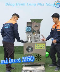 Dây chuyền sản xuất mì khô và giải pháp đầu tư cho cơ sở kinh doanh