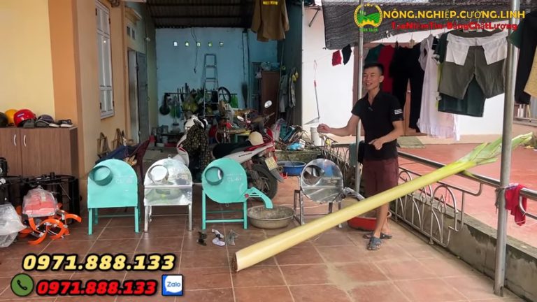Báo Giá Tổng Hợp Máy Thái Chuối Mịn Tháng 9 Năm 2025