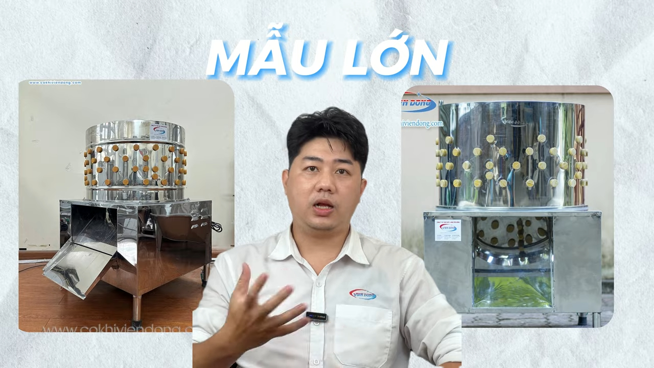 Máy vặt lông gà vịt inox công suất lớn xử lý gà vịt số lượng lớn