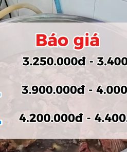 Báo Giá Nồi Nấu Phở Điện Từ 25L Đến 500L