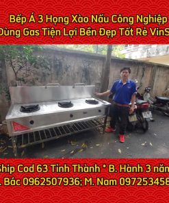Bếp Á 3 Họng Xào Nấu Dùng Gas - chi tiết máy 3