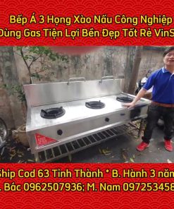 Bếp Á 3 Họng Xào Nấu Dùng Gas - chi tiết máy 2