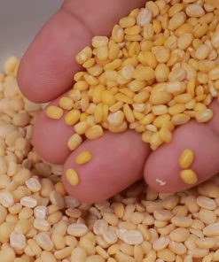 Cách Nấu Xôi Đậu Xanh Bằng Nồi Cơm Điện - chi tiết máy 3