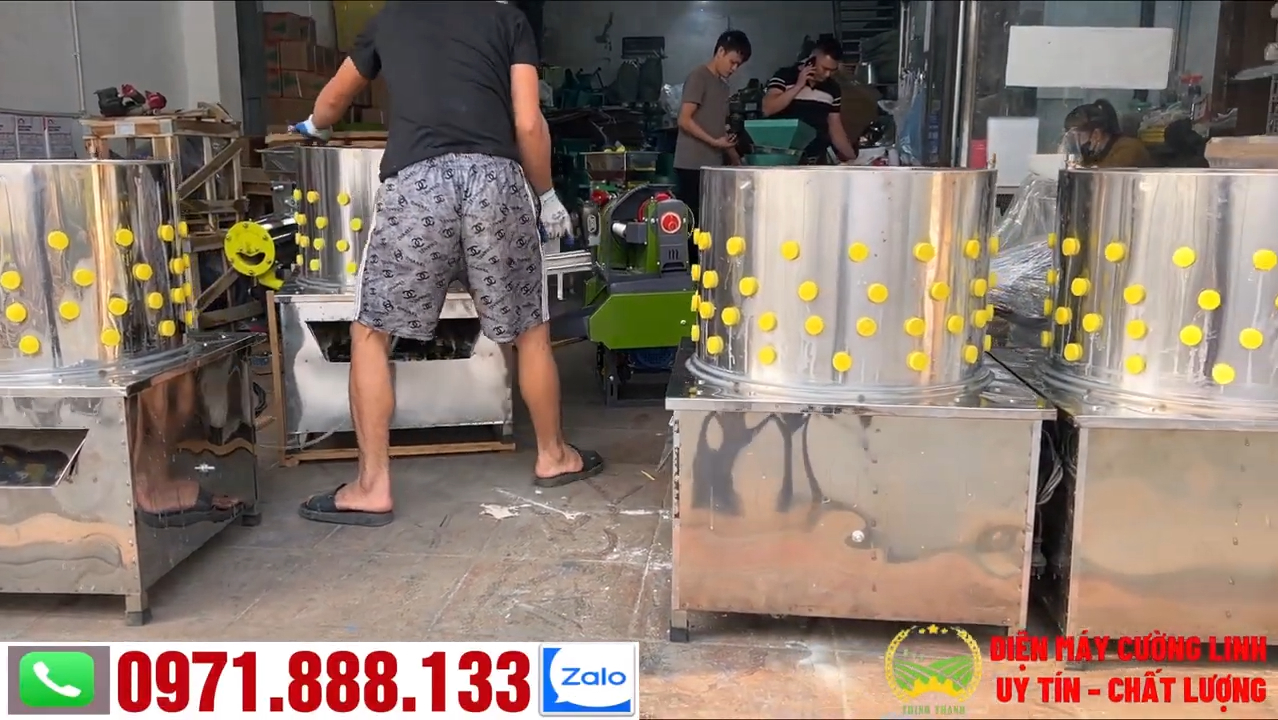 Máy vặt lông gà vịt inox đường kính 55 và 60 cơ cấu quay trục đứng
