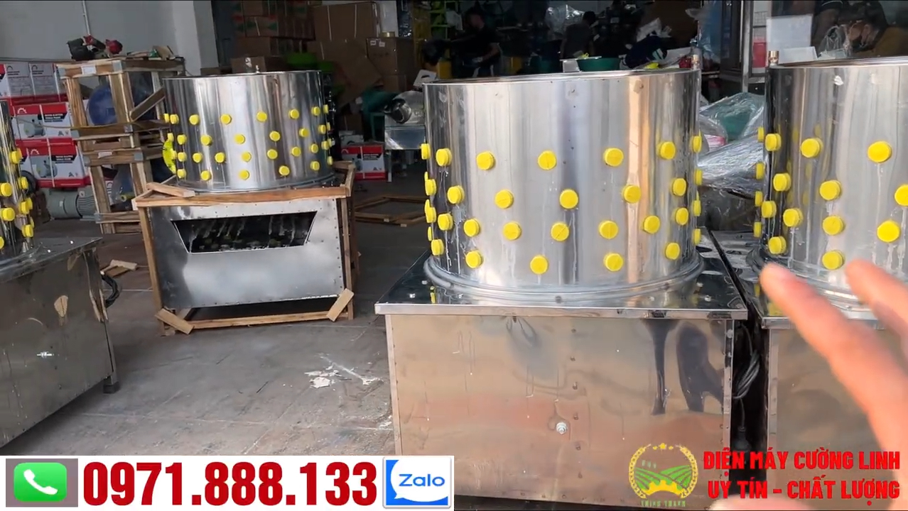 Máy vặt lông gà vịt inox đường kính 55 và 60 cơ cấu quay trục đứng