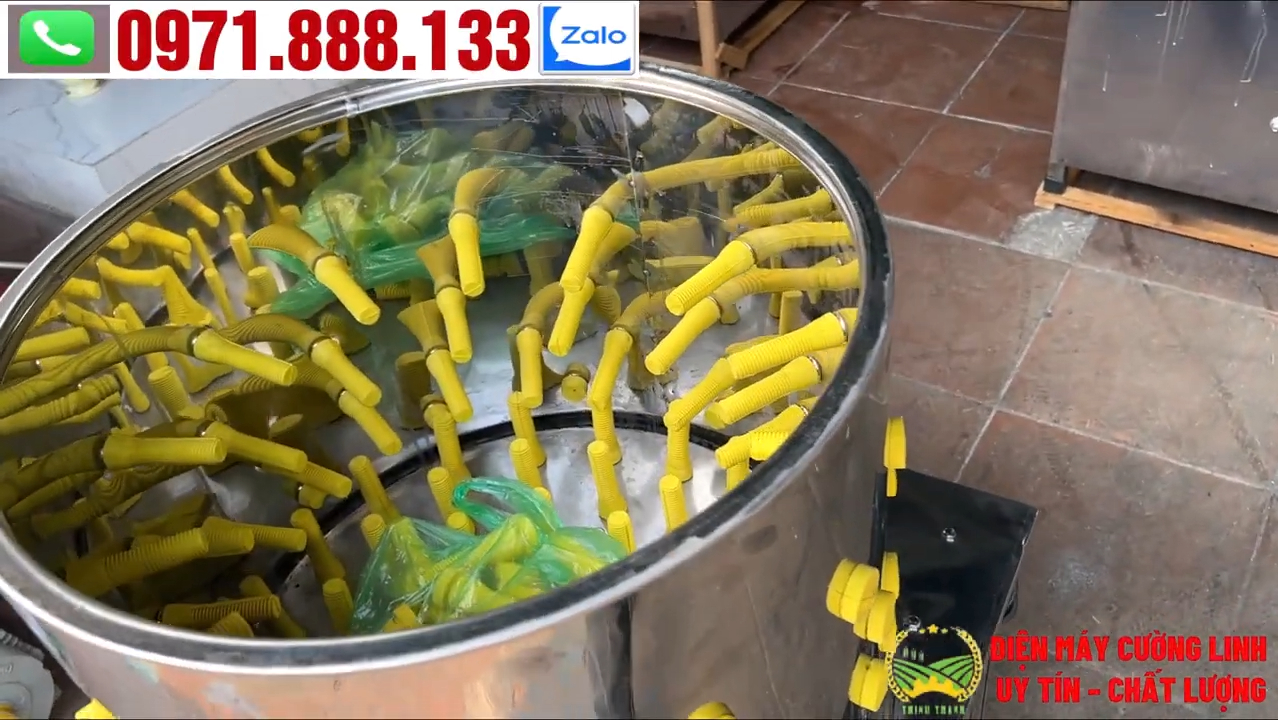 Máy vặt lông gà vịt inox đường kính 55 và 60 cơ cấu quay trục đứng