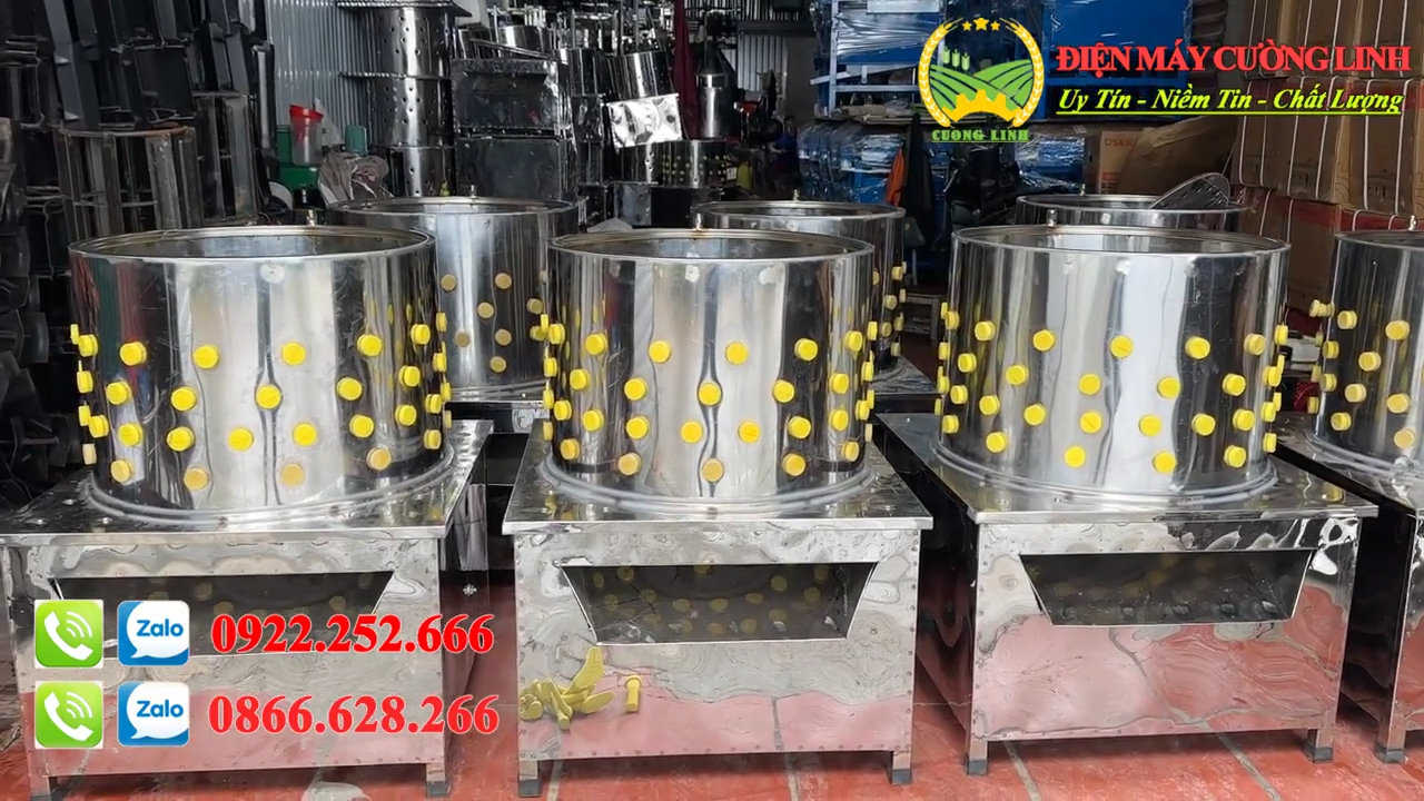 Máy vặt lông gà vịt siêu sạch inox – lồng quay núm cao su tách lông gia cầm