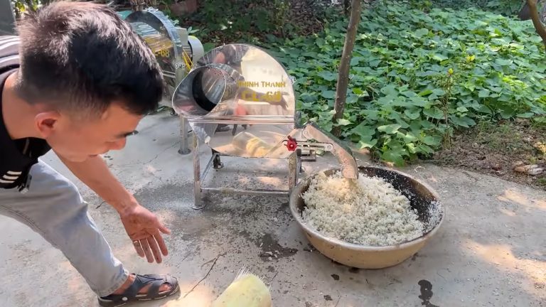 Giá bán máy thái chuối băm cỏ mới nhất Giá bán máy thái chuối băm cỏ cl68 tháng 11 năm 2025