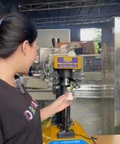 Máy đóng nắp lon nhôm KMCS-200 - chi tiết máy 2
