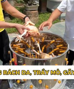 Máy Vặt Lông Gà Chỉ 30s - chi tiết máy 2