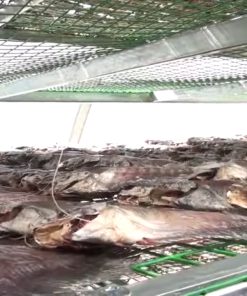Lò sấy cá khô bằng năng lượng mặt trời - chi tiết máy 1