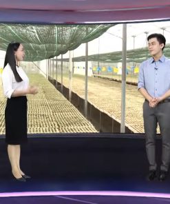 Lò sấy cá khô bằng năng lượng mặt trời