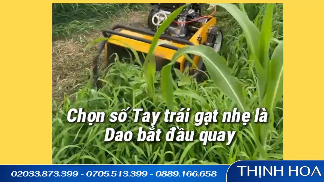 Máy cắt cỏ trục băm FUJY FJ-178 tự hành