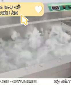 MÁY RỬA RAU CỦ SÓNG SIÊU ÂM - SẠCH NHANH, TIẾT KIỆM, AN TOÀN