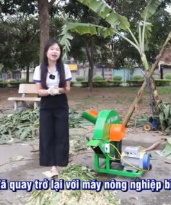 Máy Băm Chuối Thần Tốc C600 Bình Quân Phục Vụ Trang Trại Lợn Hàng Trăm Con