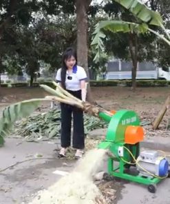 Máy Băm Chuối Thần Tốc C600 - chi tiết máy 3