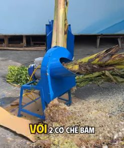 Máy Băm Chuối Xả Thẳng 1,5 kw Bình Quân - Máy Băm Chuối Giá Rẻ Bình Quân