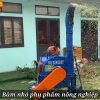 Máy Băm Cỏ Hiệu Quả Trong Chăn Nuôi Trâu Bò