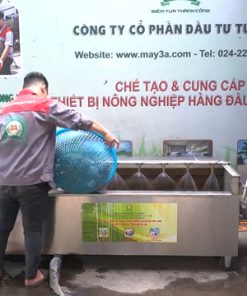 Máy Rửa Rau Củ Quả 3A3kW – Rửa Sạch & Chà Vỏ 95% Khoai, Sắn, Cà Rốt, Nghệ, Gừng