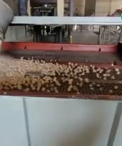 Máy Sàng Rung Hình Chữ Nhật TTVM - Năng suất sàng cao – Phân tách chính xác