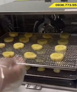 Máy sấy chuối gia đình giá rẻ nhất