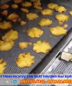 Máy Sấy Thực Phẩm Năng Suất Đến 100kg - chi tiết máy 3
