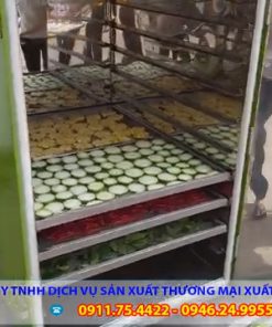 Máy Sấy Thực Phẩm Năng Suất Đến 100kg - chi tiết máy 2