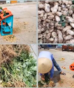 Máy Tuốt Lạc Bình An Năng Suất Lên Tới 3 Tạ