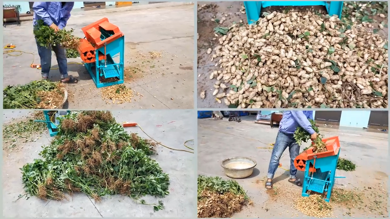 Máy Tuốt Lạc Bình An Năng Suất Lên Tới 3 Tạ