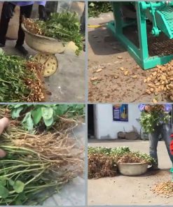 Máy Tuốt Lạc (Đậu Phộng) Siêu Năng Suất - chi tiết máy 2