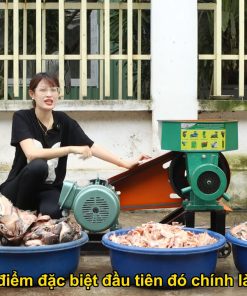 Máy Xay Nhuyễn Cua Cá Ốc Nông Sản Các Loại Ép Đùn Thành Cám Viên Dinh Dưỡng – Giải Pháp Chế Biến Thức Ăn Chăn Nuôi
