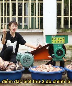 Máy Xay Nhuyễn Cua Cá Ốc - chi tiết máy 2