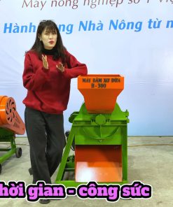 Máy Xay Xơ Dừa B300 Đầu Nổ - chi tiết máy 2
