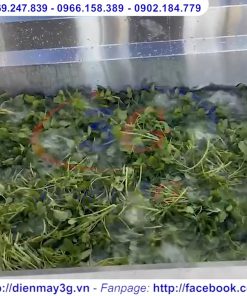 Máy rửa rau công nghiệp sục khí ozone