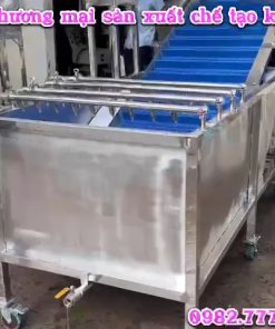 Máy rửa rau củ quả công nghiệp hiệu suất làm việc liên tục hiệu quả cao