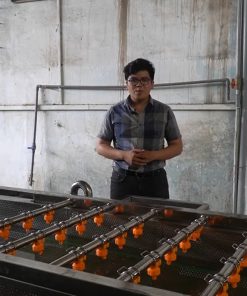 Máy Chế Biến Nông Sản – Giải Pháp Tăng Năng Suất Và Hiệu Quả Sản Xuất