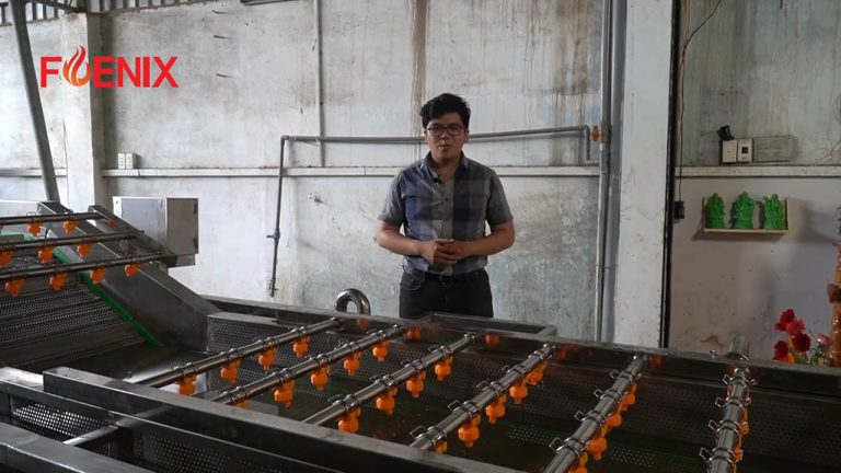 Máy rửa trái cây công nghiệp Foenix 2020 – Giới thiệu và vận hành chi tiết