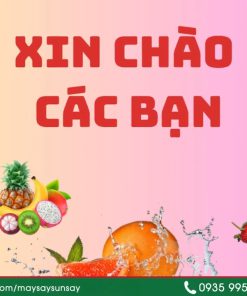 Máy Sấy Nông Sản Cho Nhà Máy Chế Biến