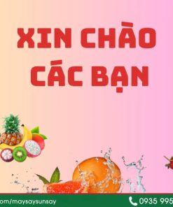 Máy Sấy Nông Sản Cho Nhà Máy Chế Biến - chi tiết máy 2