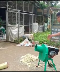 Máy thái chuối chạy động cơ 170 - chi tiết máy 3