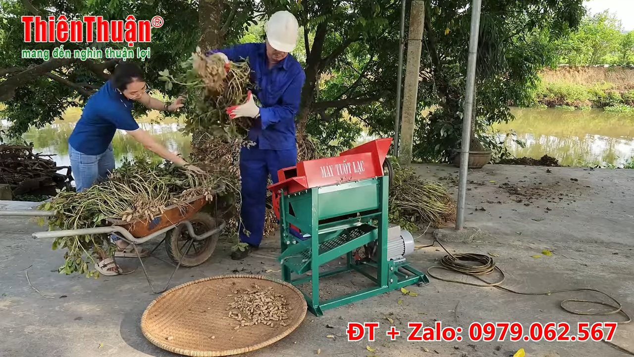 Máy tuốt lạc gia đình năng suất cao tách củ lạc khỏi thân cây cho hộ nông trại nhỏ