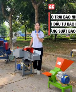 Máy băm cỏ 1.5 ngựa chất lượng an toàn nhất cho chăn nuôi