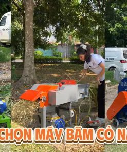 Máy băm cỏ 1.5 ngựa - chi tiết máy 3
