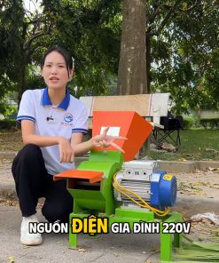 Máy băm cỏ 1.5 ngựa - chi tiết máy 2