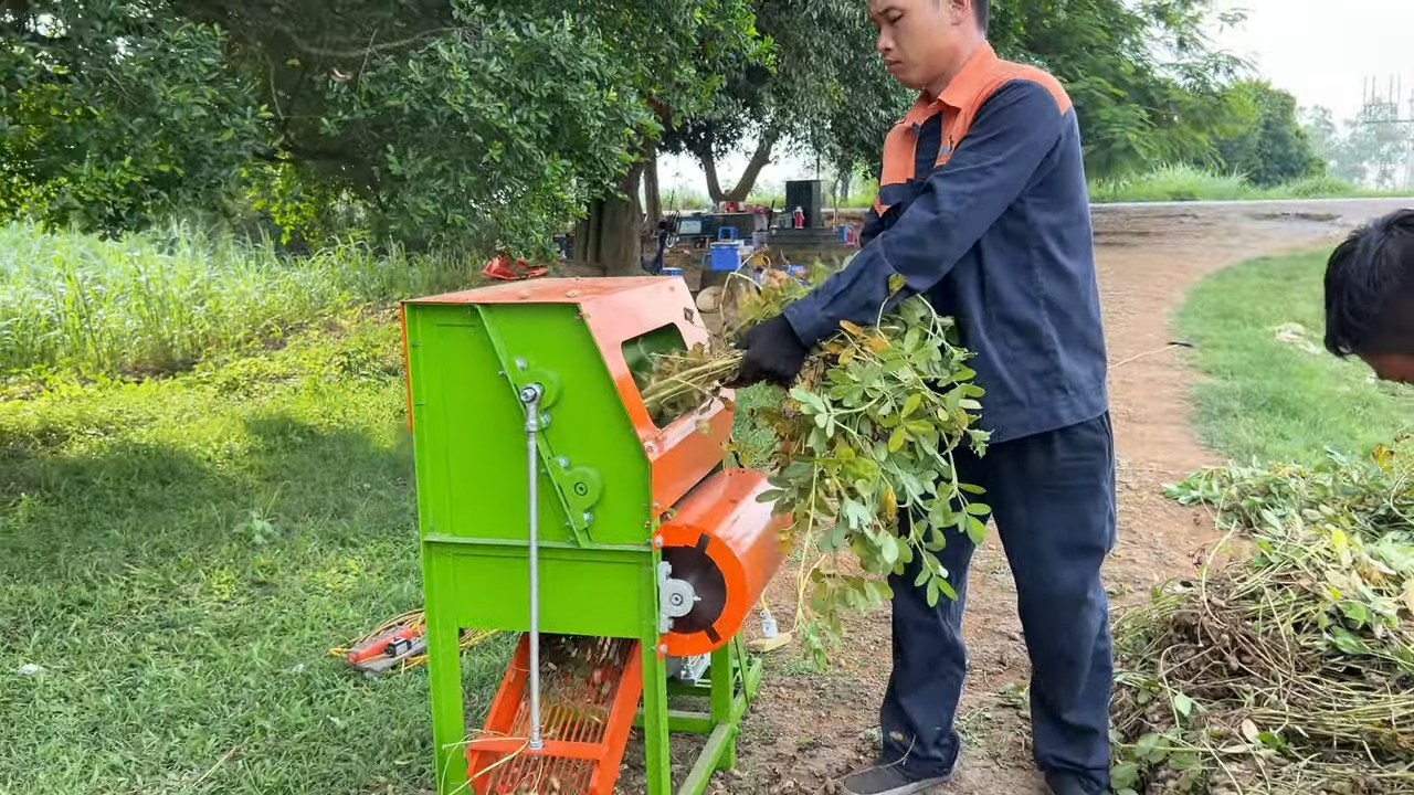 Máy tuốt lạc mini – tách củ lạc khỏi thân cây bằng cơ cấu quay và luồng gió