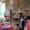 Quy Trình Xử Lý Nguyên Liệu Sơ Dừa Tại Cơ Sở Sản Xuất Bến Tre